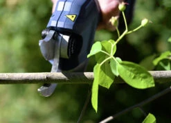Akku-Astschere Für Garten-Akkusystem -Qualitätshausladen akku astschere fuer garten akkusystem farbe blau 2