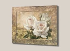 Bild Venetianische Rose II