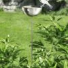 Gartenstecker Vogeltränke