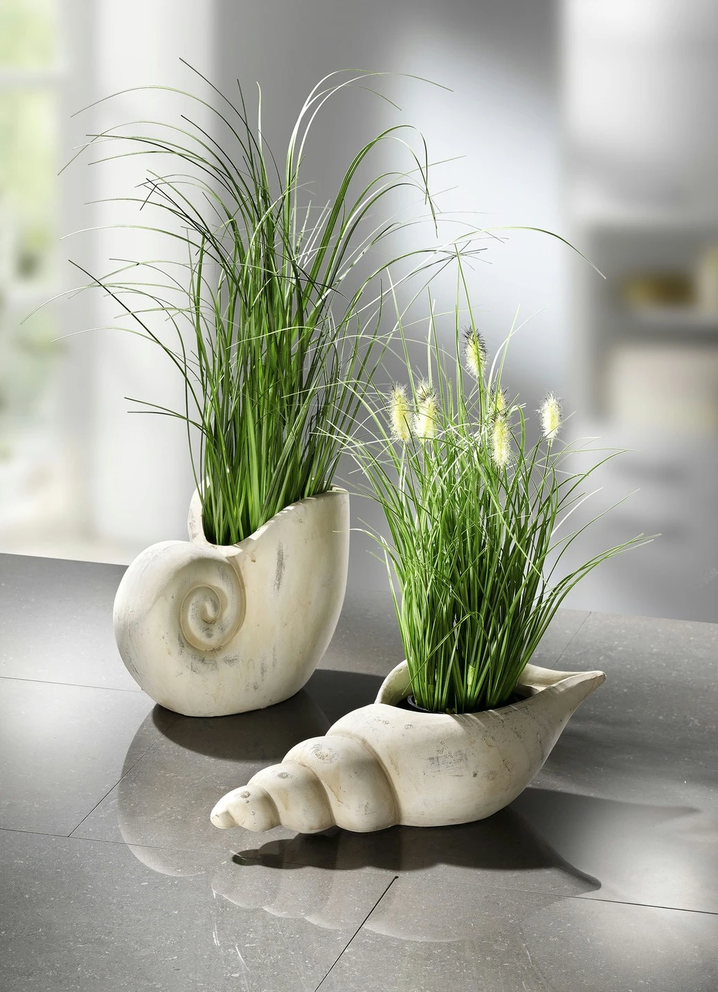 Grasbusch Aus Kunstmaterial In Muschel 4 Grasbusch Aus Kunstmaterial In Muschel – Bild 2