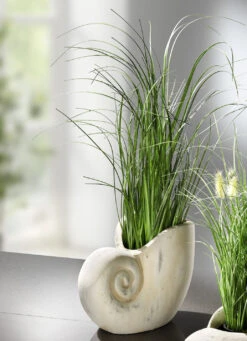 Grasbusch Aus Kunstmaterial In Muschel 7 Grasbusch Aus Kunstmaterial In Muschel -Qualitätshausladen grasbusch aus kunstmaterial in muschel farbe gruen creme 2