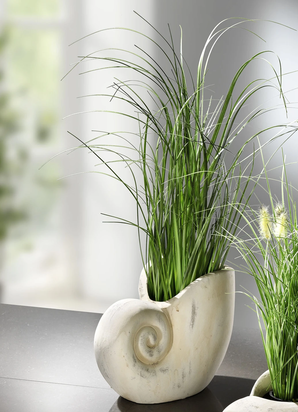 Grasbusch Aus Kunstmaterial In Muschel 5 Grasbusch Aus Kunstmaterial In Muschel – Bild 3