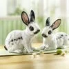 Hasen Aus Polyresin, 2er-Set -Qualitätshausladen hasen aus polyresin 2er set farbe schwarz weiss