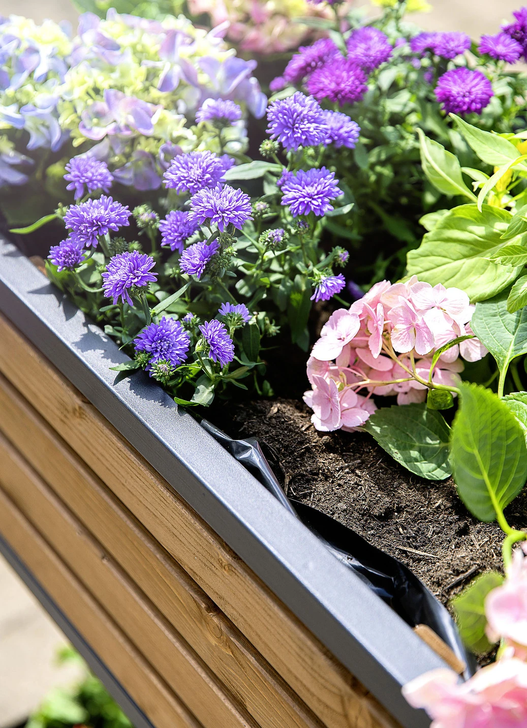 Hochbeet Cube Elements Aus Metall Und Nadelholz 5 Hochbeet Cube Elements Aus Metall Und Nadelholz – Bild 3