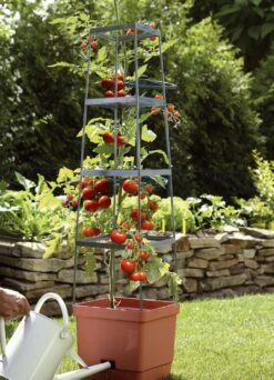 MAXITOM Tomaten-Rankhilfe Komplett-Set 7 MAXITOM Tomaten-Rankhilfe Komplett-Set -Qualitätshausladen maxitom tomaten rankhilfe komplett set farbe terra 1