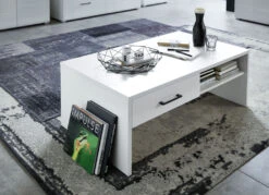 Moderner Couchtisch -Qualitätshausladen moderner couchtisch farbe weiss