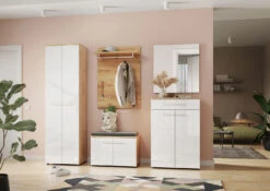 Modernes Garderoben-Programm