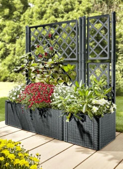 Pflanzkasten In Moderner Rattan-Optik -Qualitätshausladen pflanzkasten in moderner rattan optik farbe anthrazit