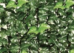 Praktischer Sichtschutz Aus Stabilem Kunststoffgeflecht -Qualitätshausladen praktischer sichtschutz aus stabilem kunststoffgeflecht farbe gruen 2