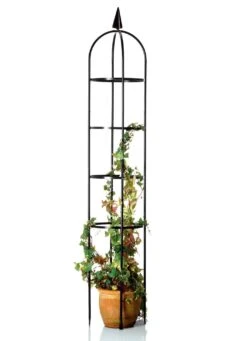 Rankgitter Aus Schwarz Lackiertem Metall -Qualitätshausladen rankgitter aus schwarz lackiertem metall farbe schwarz