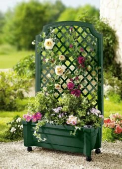 Roll-Pflanzkasten Mit Spalier -Qualitätshausladen roll pflanzkasten mit spalier farbe gruen.jpg.pagespeed.ce .VGK XsbWw9