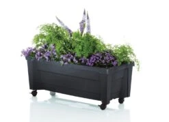 Roll-Pflanzkasten Mit Wasserstandsanzeige -Qualitätshausladen roll pflanzkasten mit wasserstandsanzeige farbe anthrazit