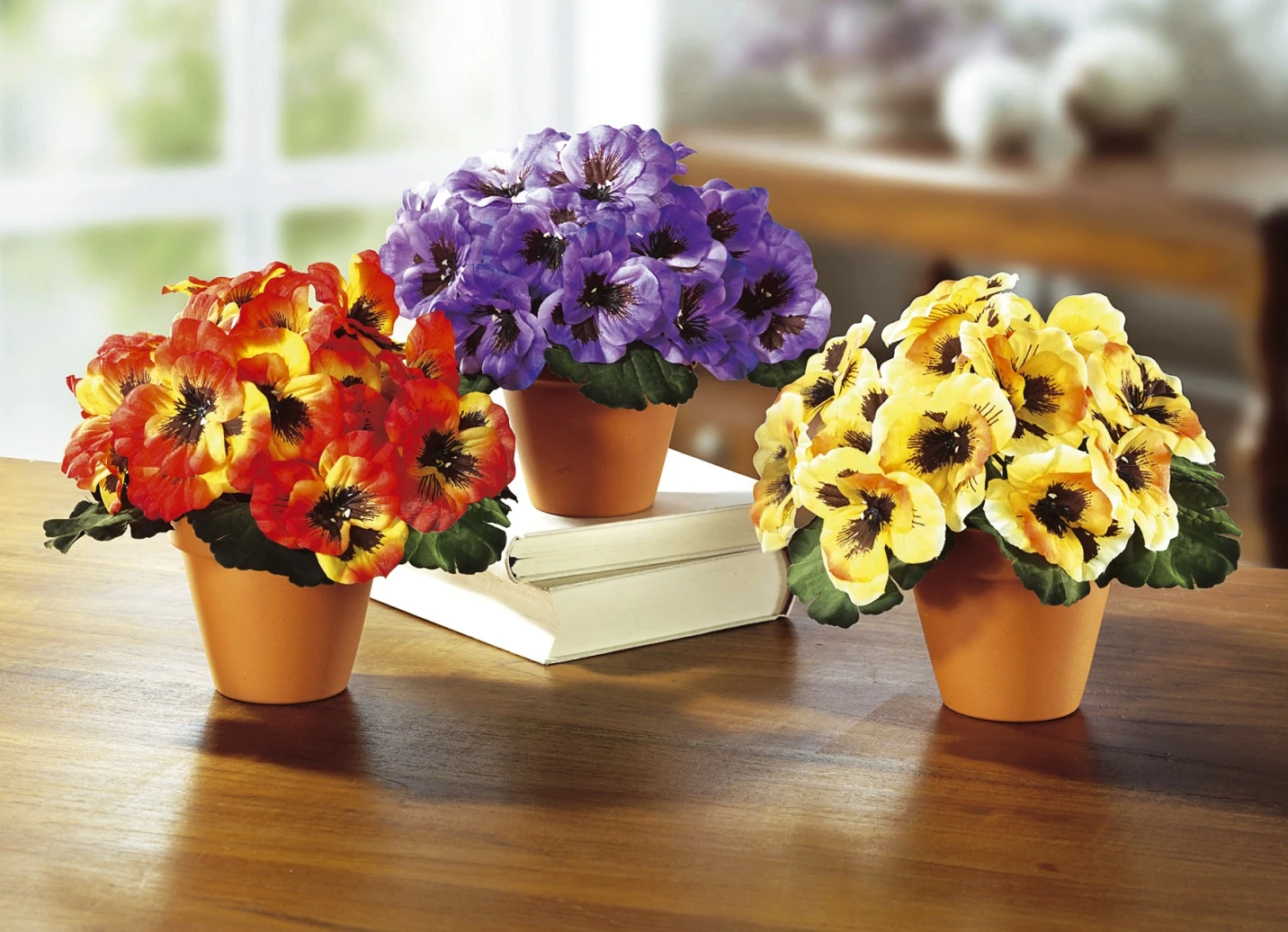 Stiefmütterchen, 3er-Set 3 Stiefmütterchen, 3er-Set