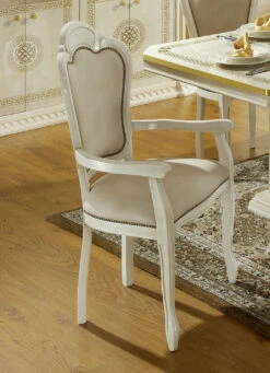 Stilvolle Stühle Mit Hochglanzlackierter Kunststoffoberfläche -Qualitätshausladen stilvolle stuehle mit hochglanzlackierter kunststoffoberflaeche farbe beige gold beige 1