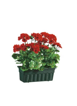 Täuschend Echt Wirkende Geranien Mit Balkonkasten -Qualitätshausladen taeuschend echt wirkende geranien mit balkonkasten farbe rot 1
